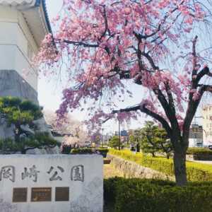 岡崎公園