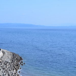 淡路島モンキーセンター