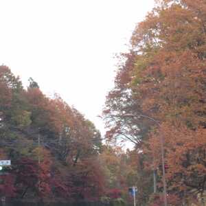 日光いろは坂 剣ヶ峰展望所