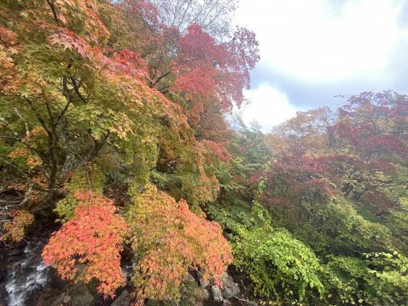 日光いろは坂 剣ヶ峰展望所