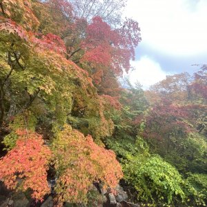 日光いろは坂 剣ヶ峰展望所