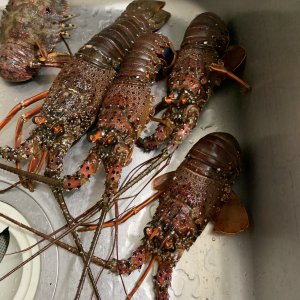 梶賀のあぶり