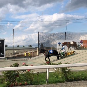 ばんえい競馬