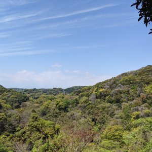 大楠山