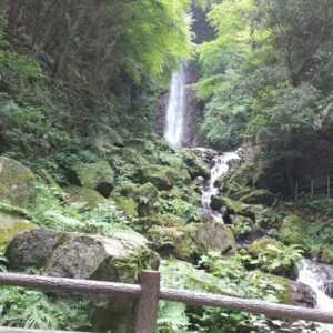 養老の滝