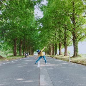 メタセコイヤ並木道
