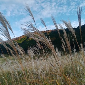 箱根仙石原