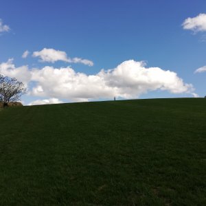 まきば公園