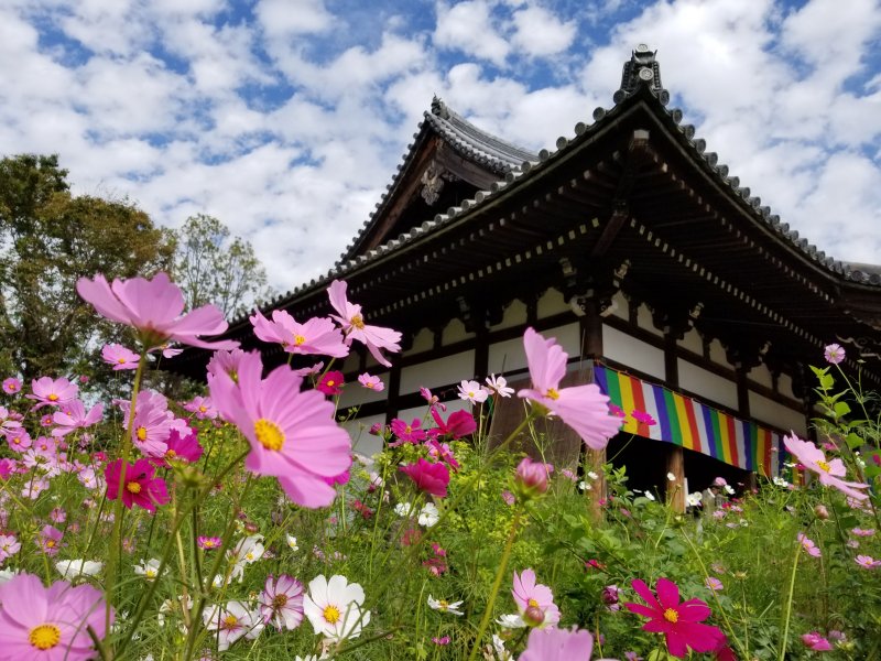 般若寺