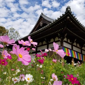 般若寺