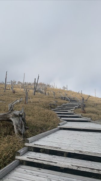 大台ヶ原