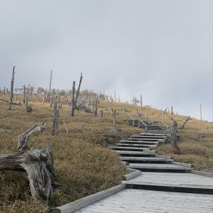 大台ヶ原