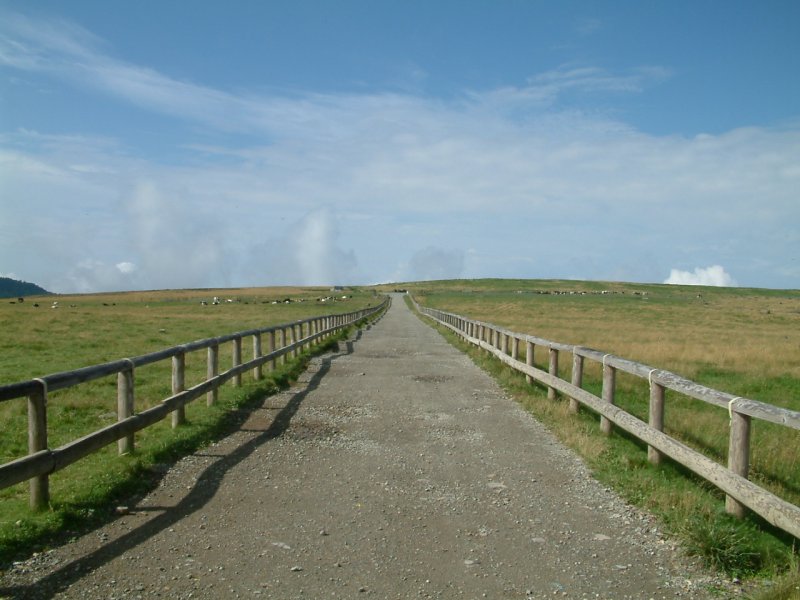 美ヶ原牧場