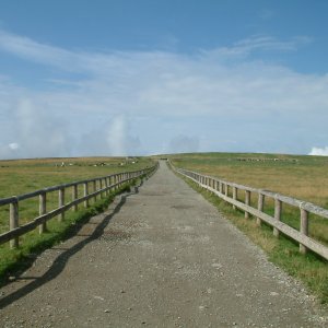 美ヶ原牧場