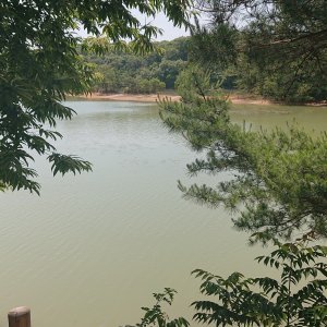 篠栗九大の森