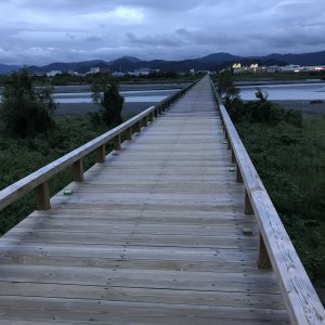 蓬莱橋