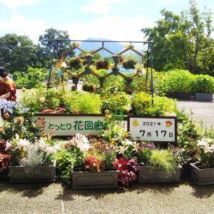 とっとり花回廊