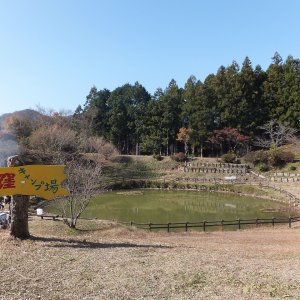 星ヶ窪キャンプ場