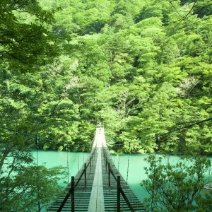 夢の吊り橋