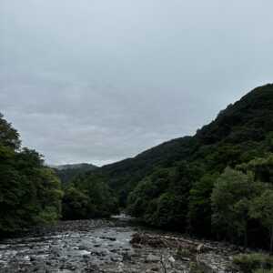 奥入瀬渓流