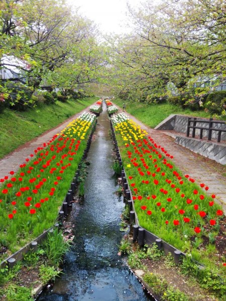 江川せせらぎ緑道