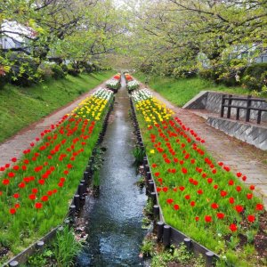 江川せせらぎ緑道