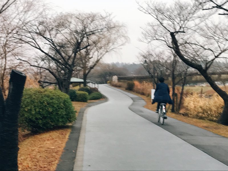 千波湖
