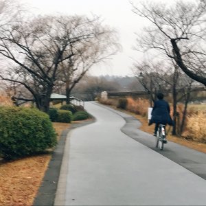 千波湖