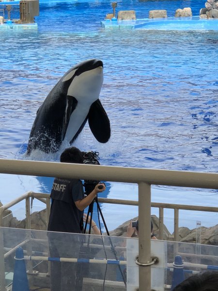 名古屋港水族館