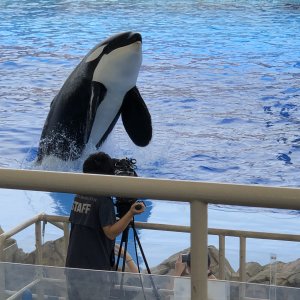 名古屋港水族館