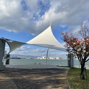 コスモスクエア周辺