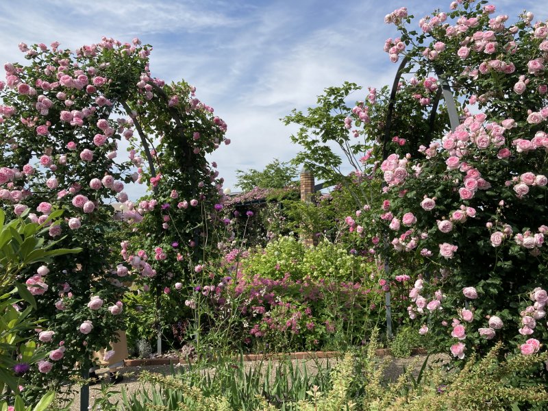 国営越後丘陵公園