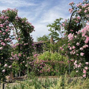 国営越後丘陵公園