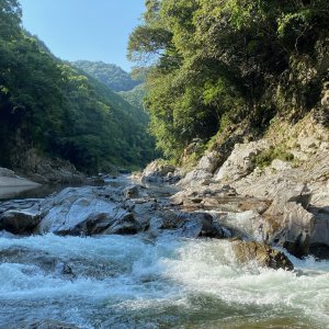 鮎滝