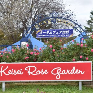 京成バラ園