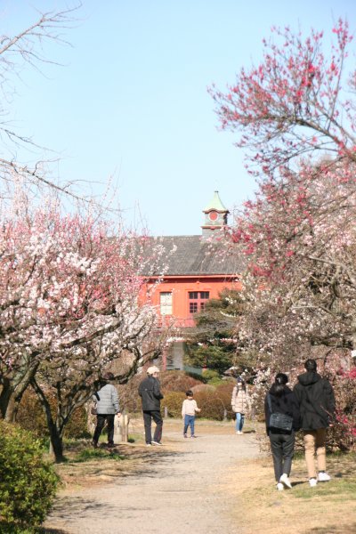 小石川植物園