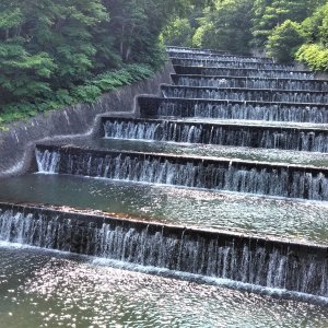 奥沢水源地