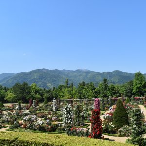河津バガテル公園