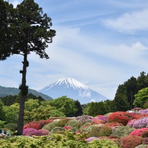 山のホテル