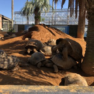 体感型動物園iZoo