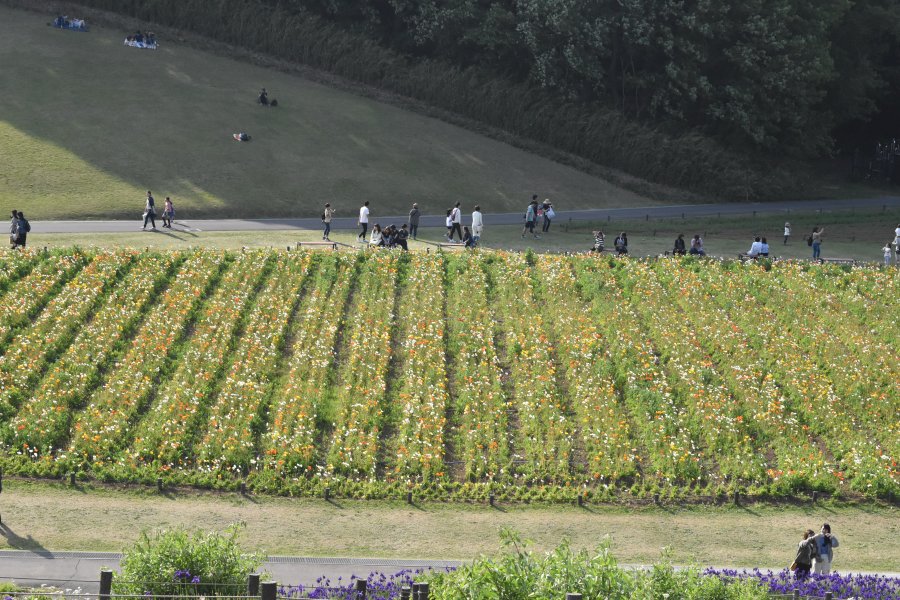 国営武蔵丘陵森林公園