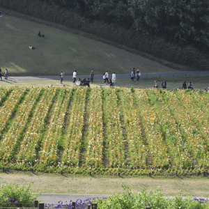 国営武蔵丘陵森林公園