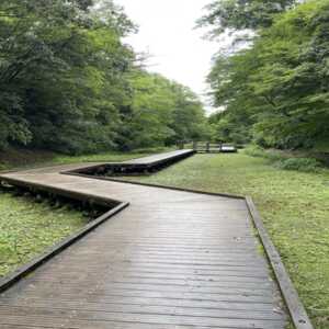 濃溝の滝・亀岩の洞窟