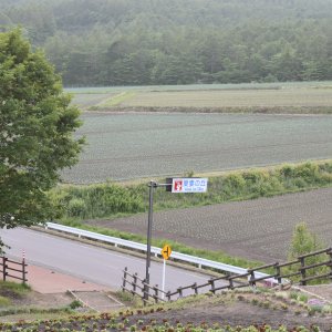 愛妻の丘