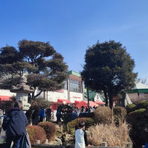 サイボクの森