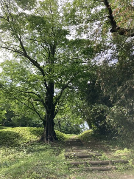 佐倉城址公園