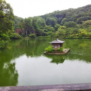 町田薬師池公園