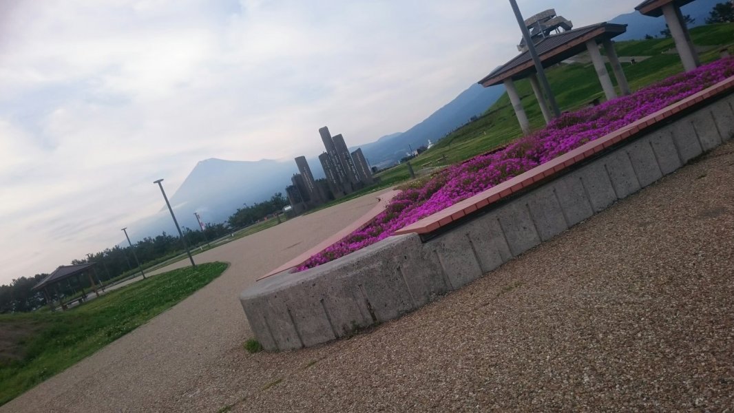 ふじのくに田子の浦みなと公園