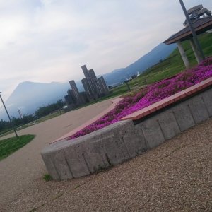 ふじのくに田子の浦みなと公園