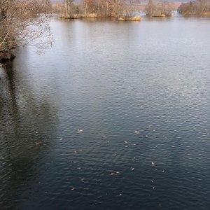 大沼国定公園